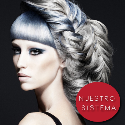 NUESTRO SISTEMA